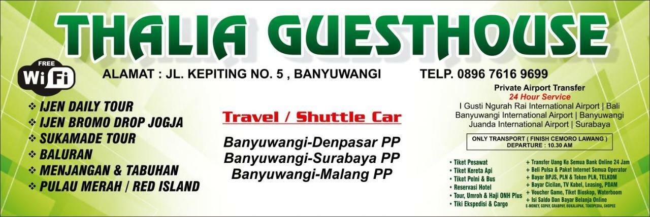 Thalia Guesthouse Ijen - Bromo & Sukamade Tour Banyuwangi  Buitenkant foto